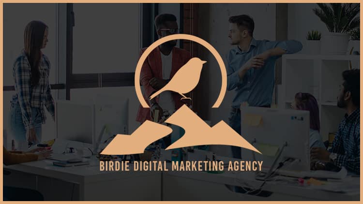 Birdie Digital Marketing Agency Logo