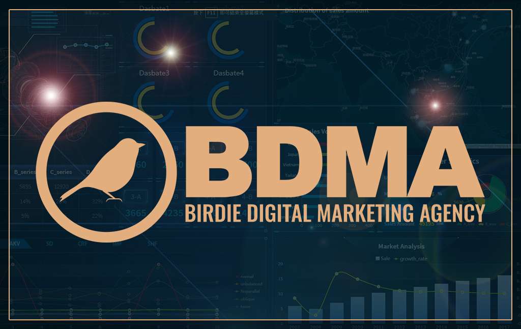 Birdie Digital Marketing Agency Industry Partners